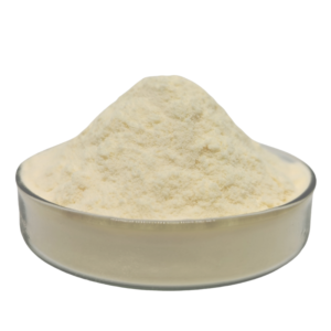 Amino Acid