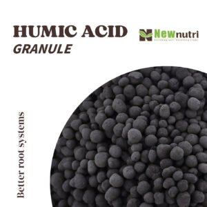 Humic Acid Granule