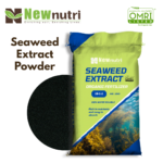 Seaweed Extract Powder