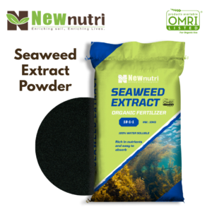 Seaweed Extract Powder