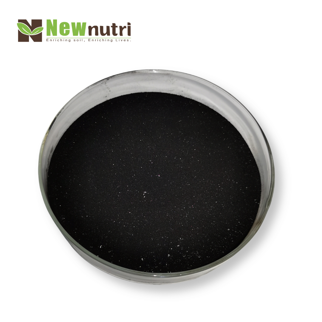 Seaweed Extract Powder