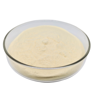 Amino Acid