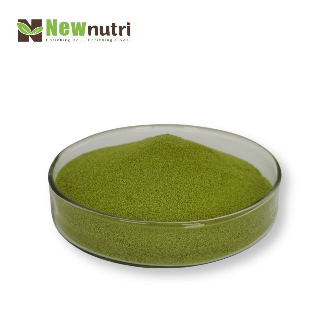 Green Seaweed Extract
