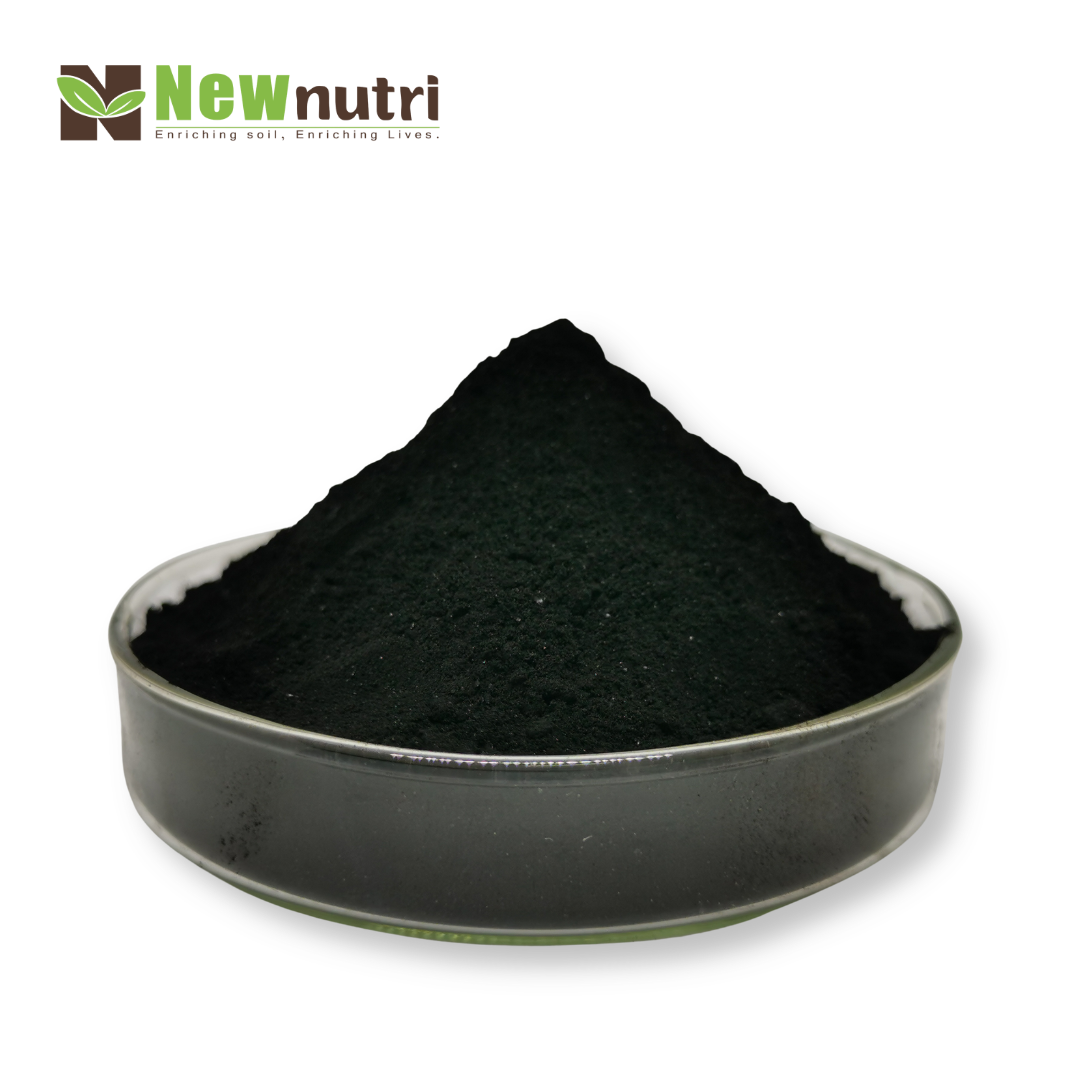 Seaweed Extract Powder