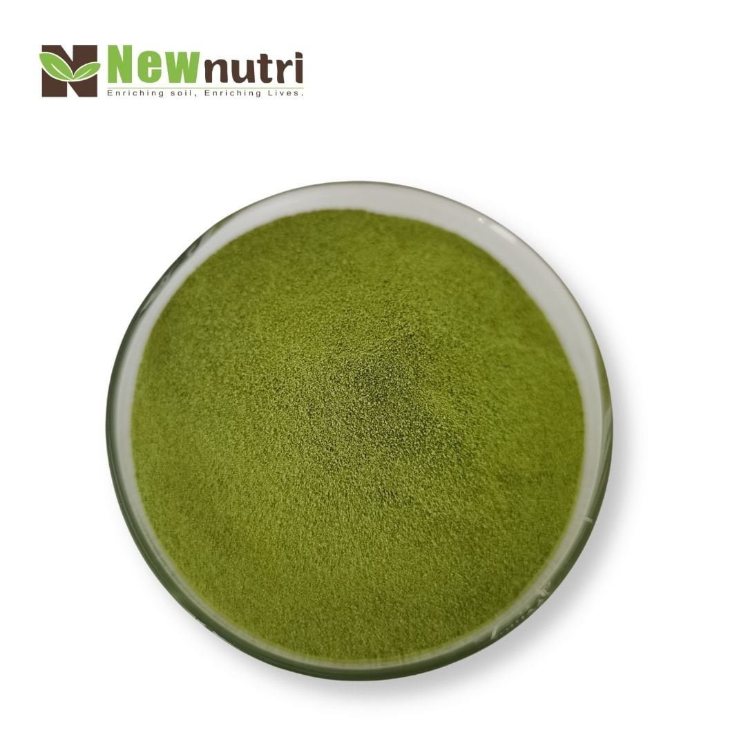 Green Seaweed Extract