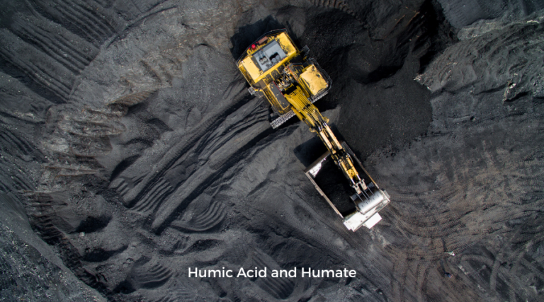 Humic Acid and Humate