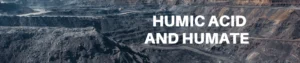 Humic Acid and Humate
