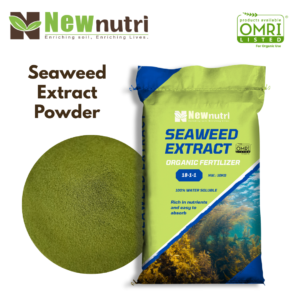 Green Seaweed Extract
