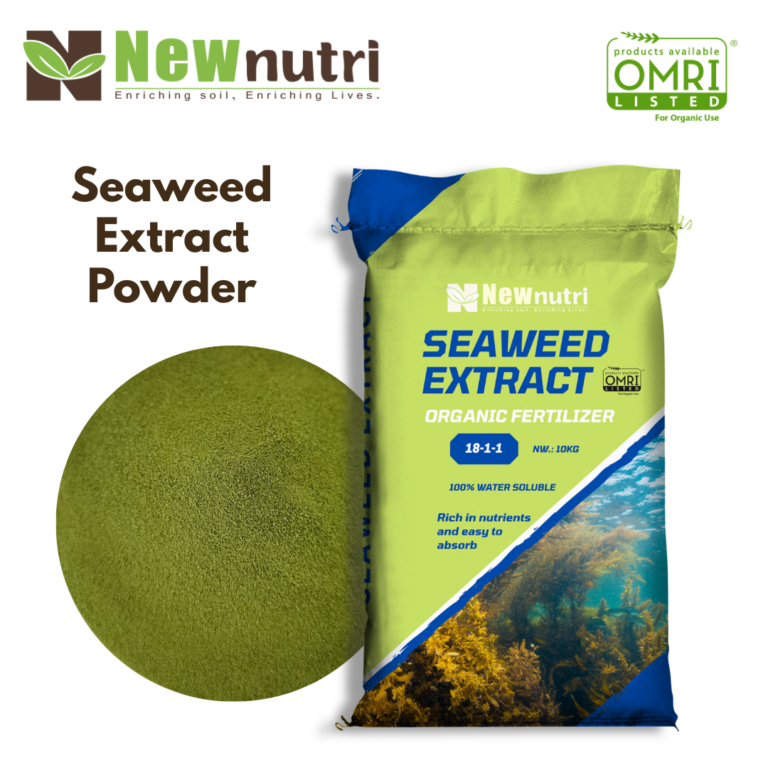 Green Seaweed Extract