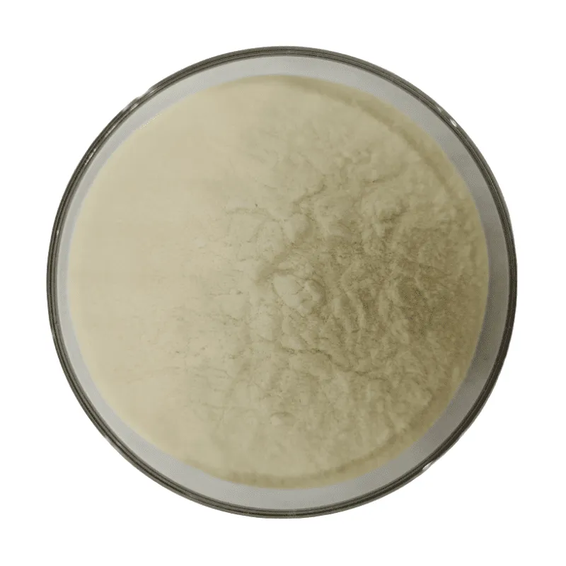 Amino Acid