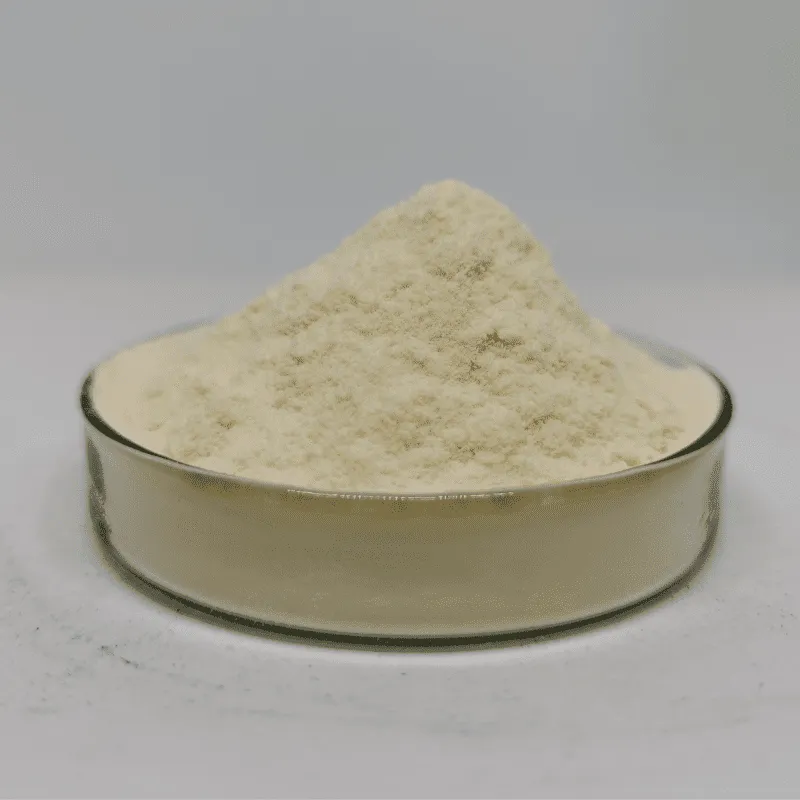 Amino Acid