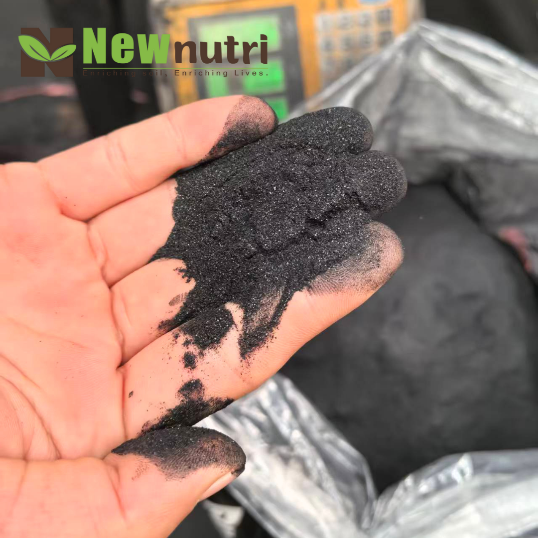 Seaweed Extract Powder