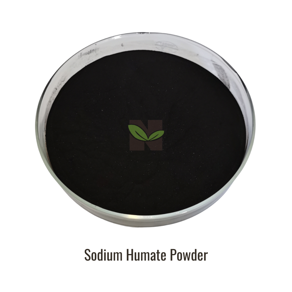 Sodium Humate Powder