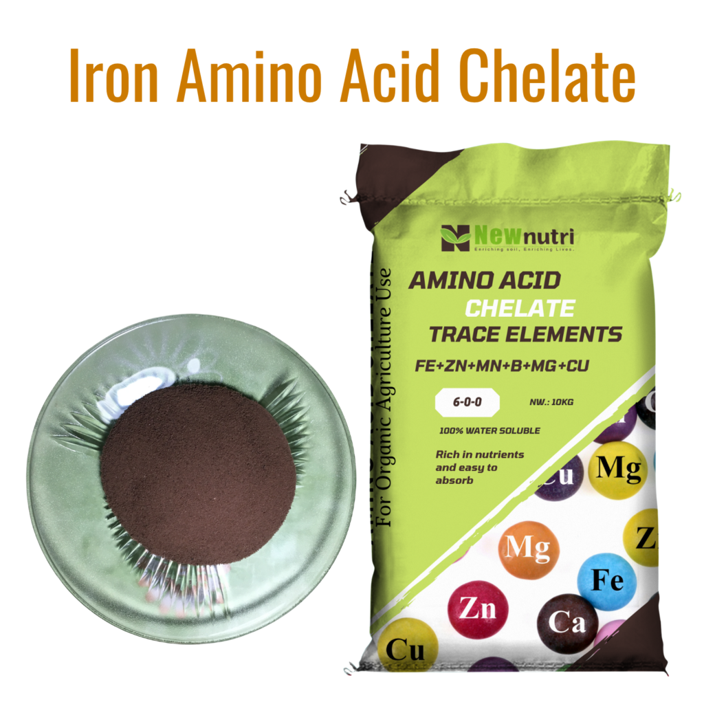 Iron Amino Acid Chelate