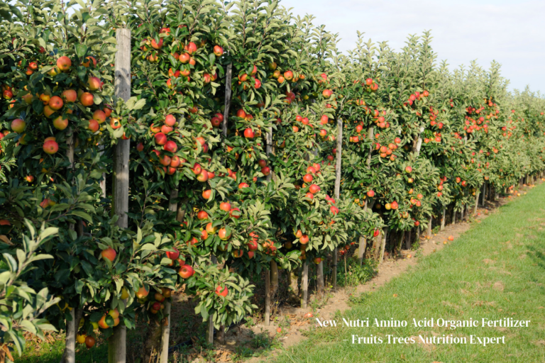Amino Acid Organic Fertilizer – Fruits Trees Nutrition Expert