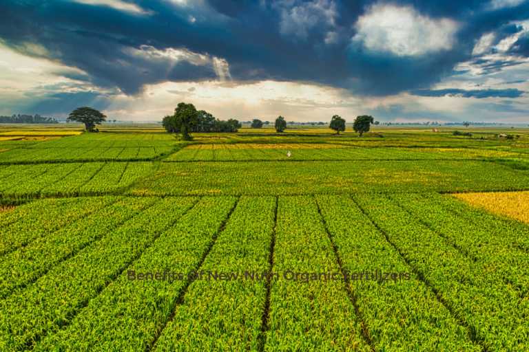 Benefits Of New-Nutri Organic Fertilizers