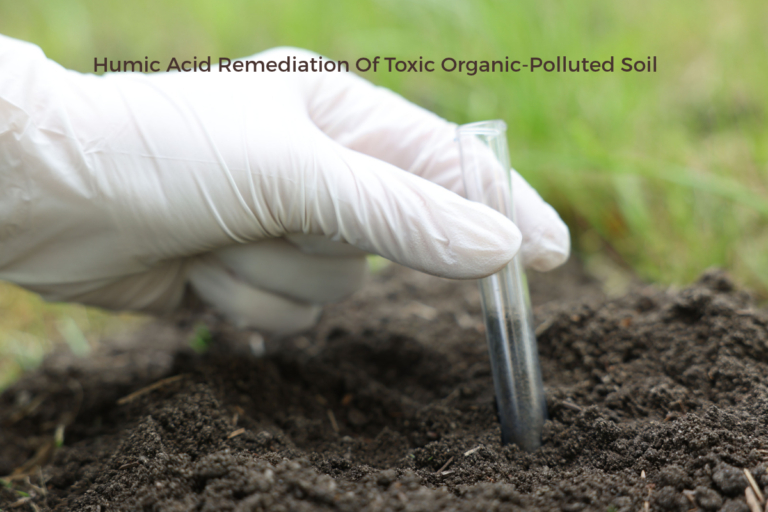 Humic Acid Remediation Of Toxic Organic-Polluted Soil