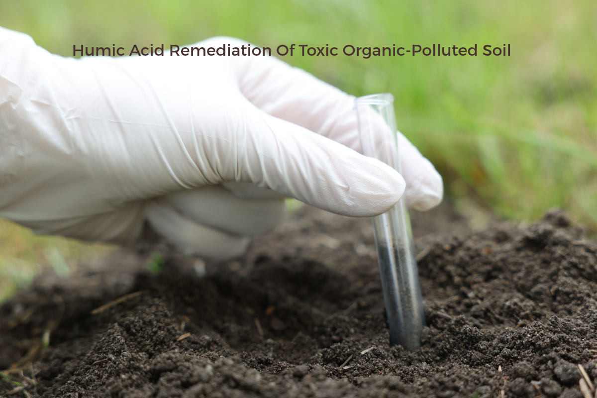 Humic Acid Remediation Of Toxic Organic-Polluted Soil