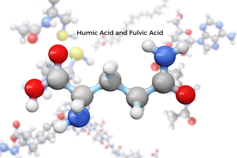 Humic Acid and Fulvic Acid