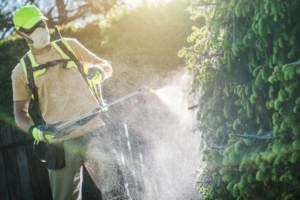Mistakes of Using Foliar Fertilizers