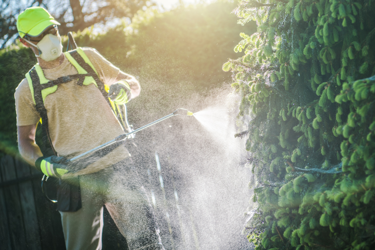 Mistakes of Using Foliar Fertilizers
