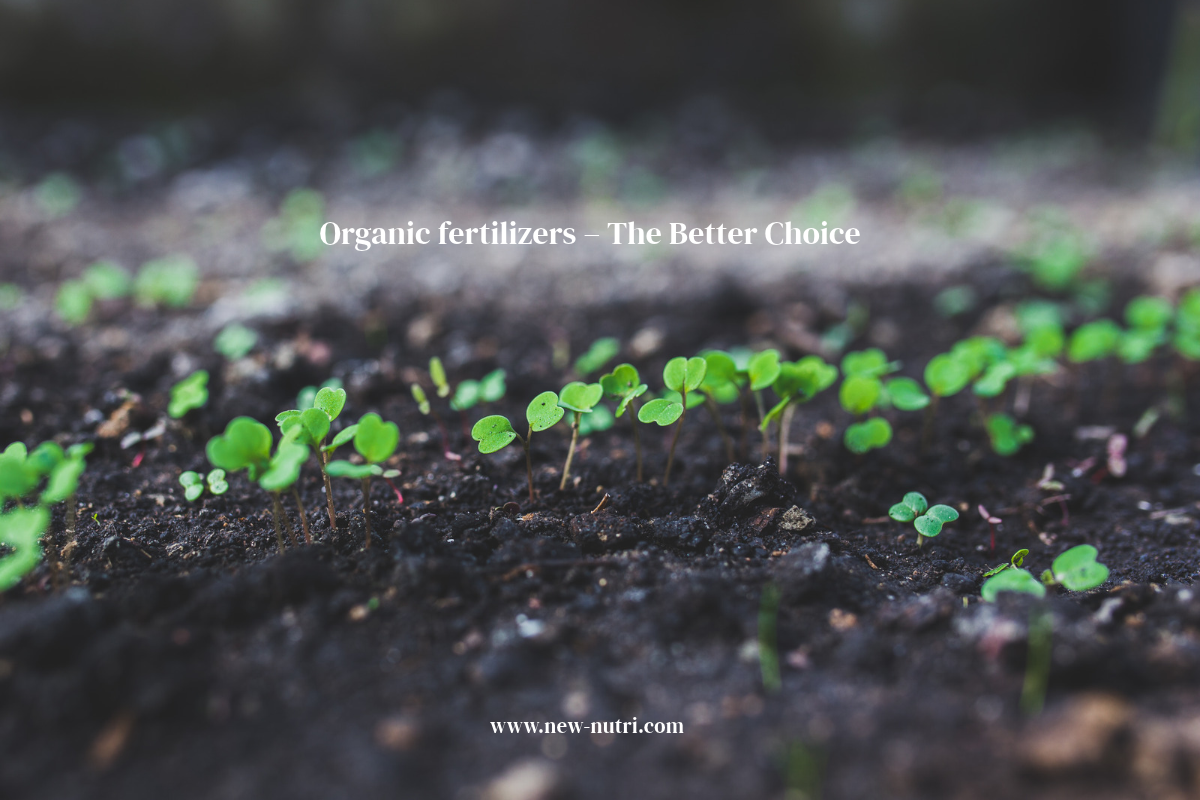 Organic fertilizers – The Better Choice