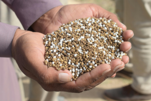 Promoting Effect Of Fulvic Acid On Inorganic Fertilizer