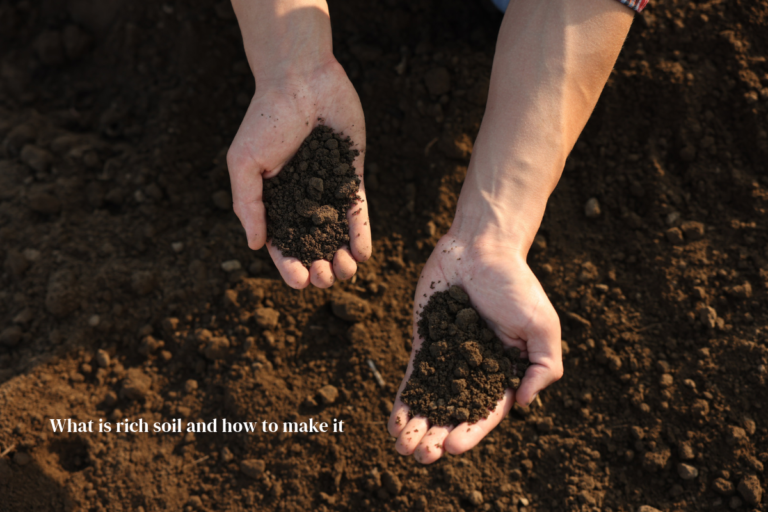 What is rich soil and how to make it