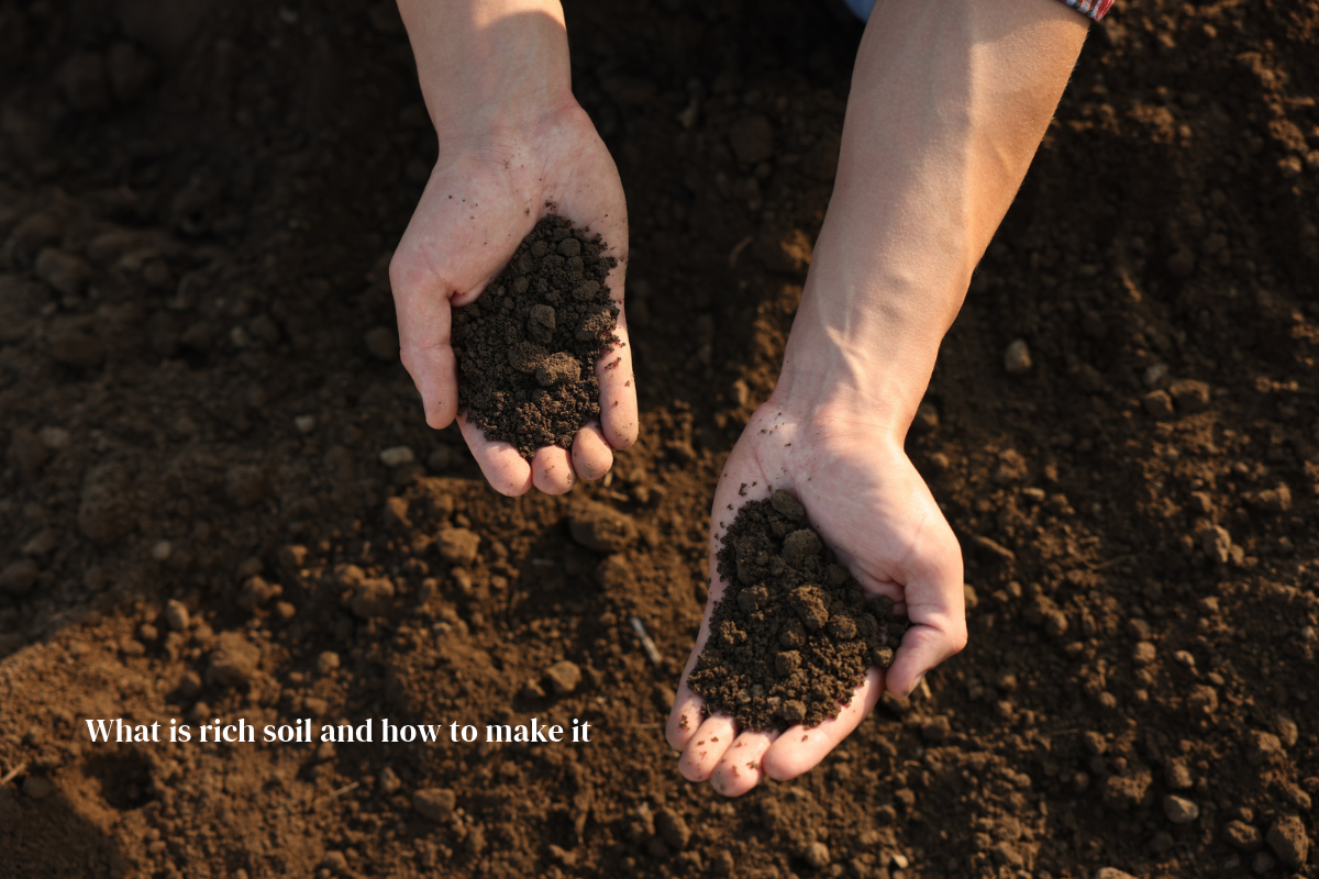 What is rich soil and how to make it